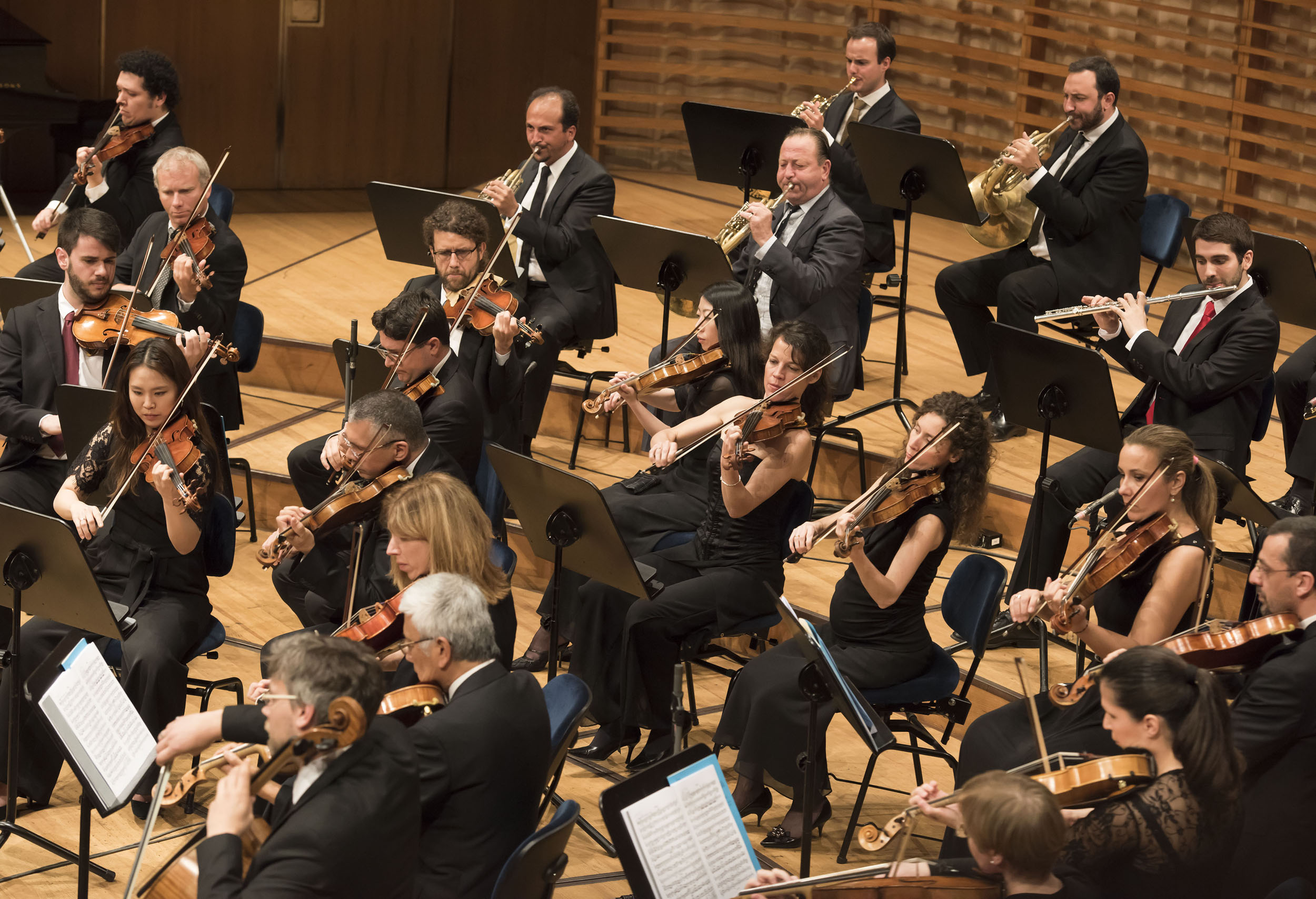 Human Rights Orchestra